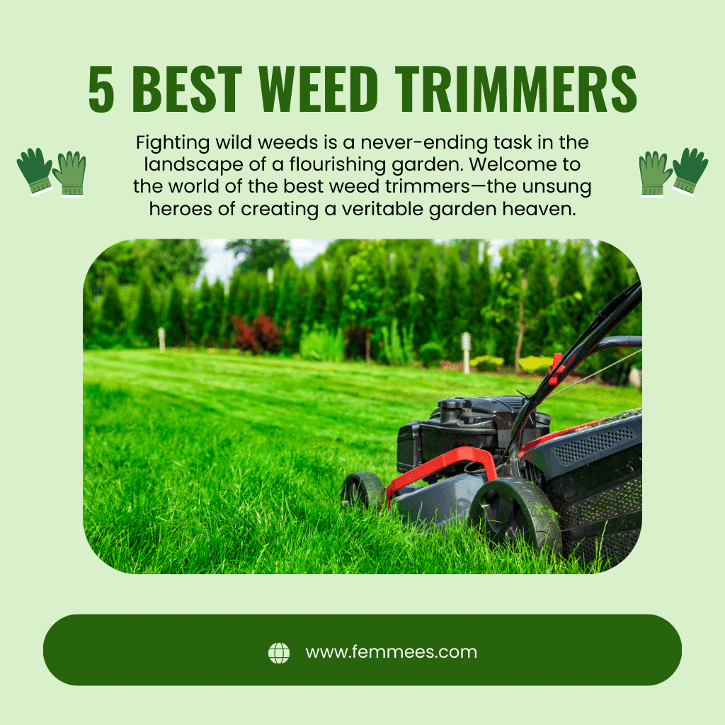 best weed trimmer