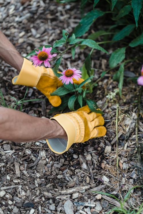 Unearthing the Truth: Are Garden Gloves with Claws Worth the Hype? – Comprehensive Review