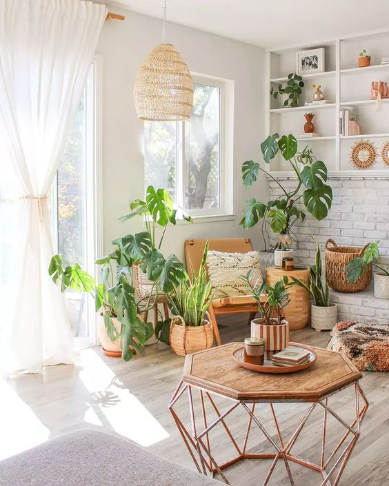 Boho living room plants