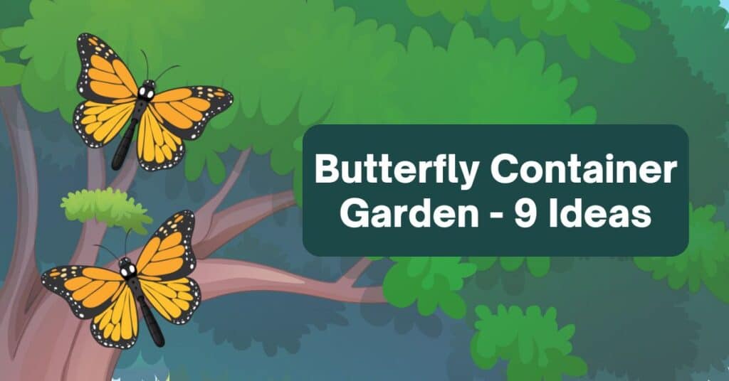 Butterfly Container Garden