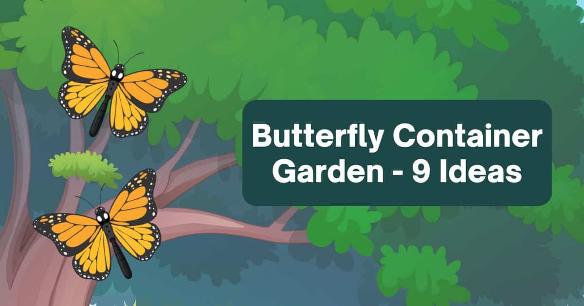 The Ultimate Butterfly Container Garden Guide – 9 Essential Tips