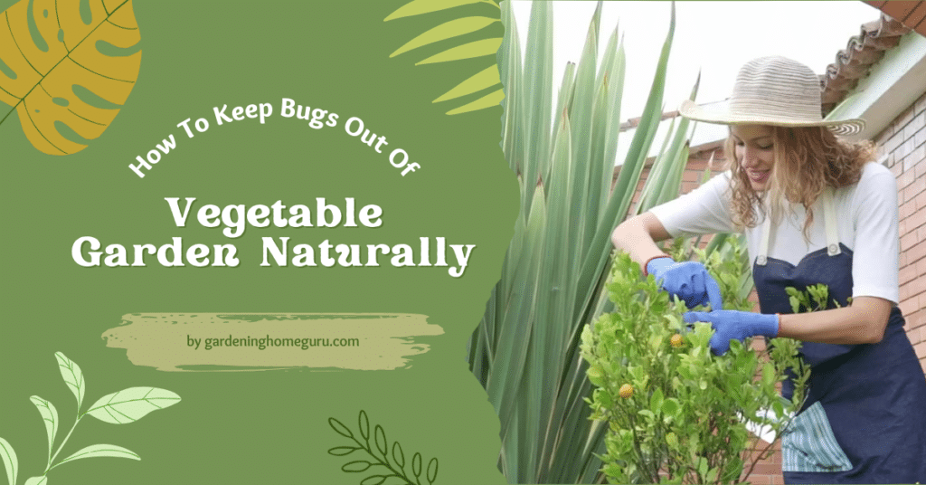 how to keep bugs out of vegetable garden naturally