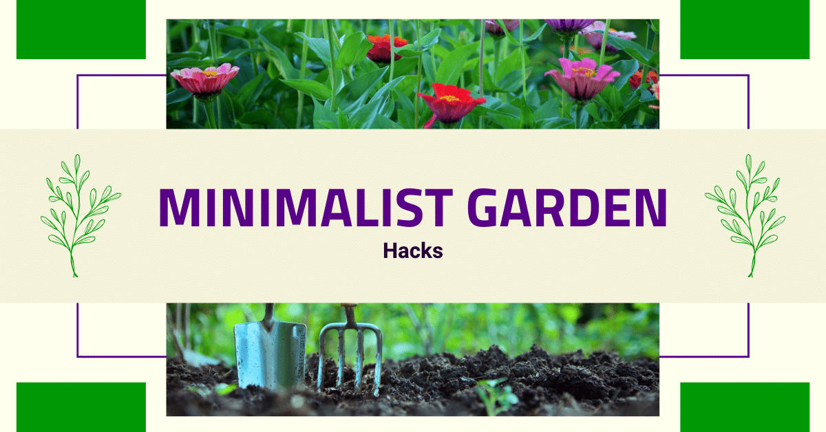 7 Mind-Blowing Minimalist Garden Hacks!