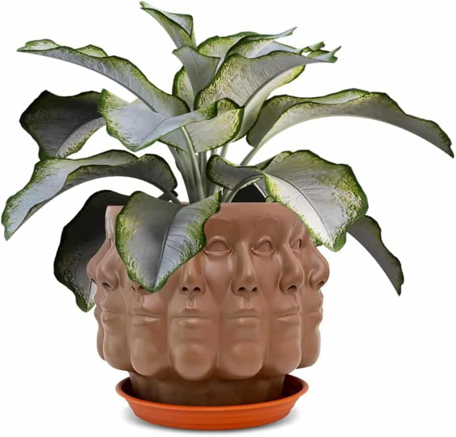 Multi Face Head Planter