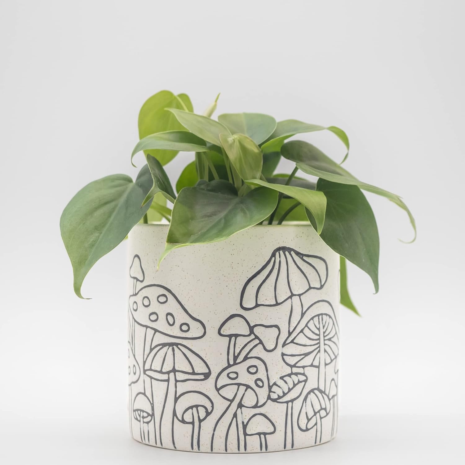 Mushroom Planter