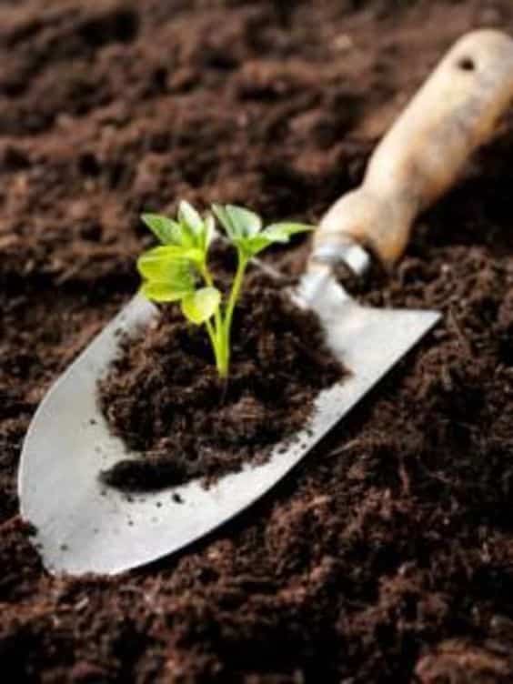 gardening soil