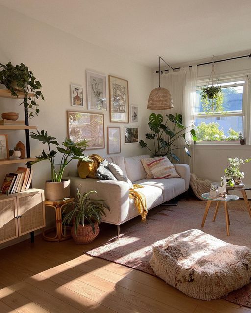 sunlight living room