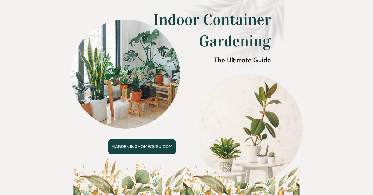 The Ultimate Guide to Indoor Container Gardening!