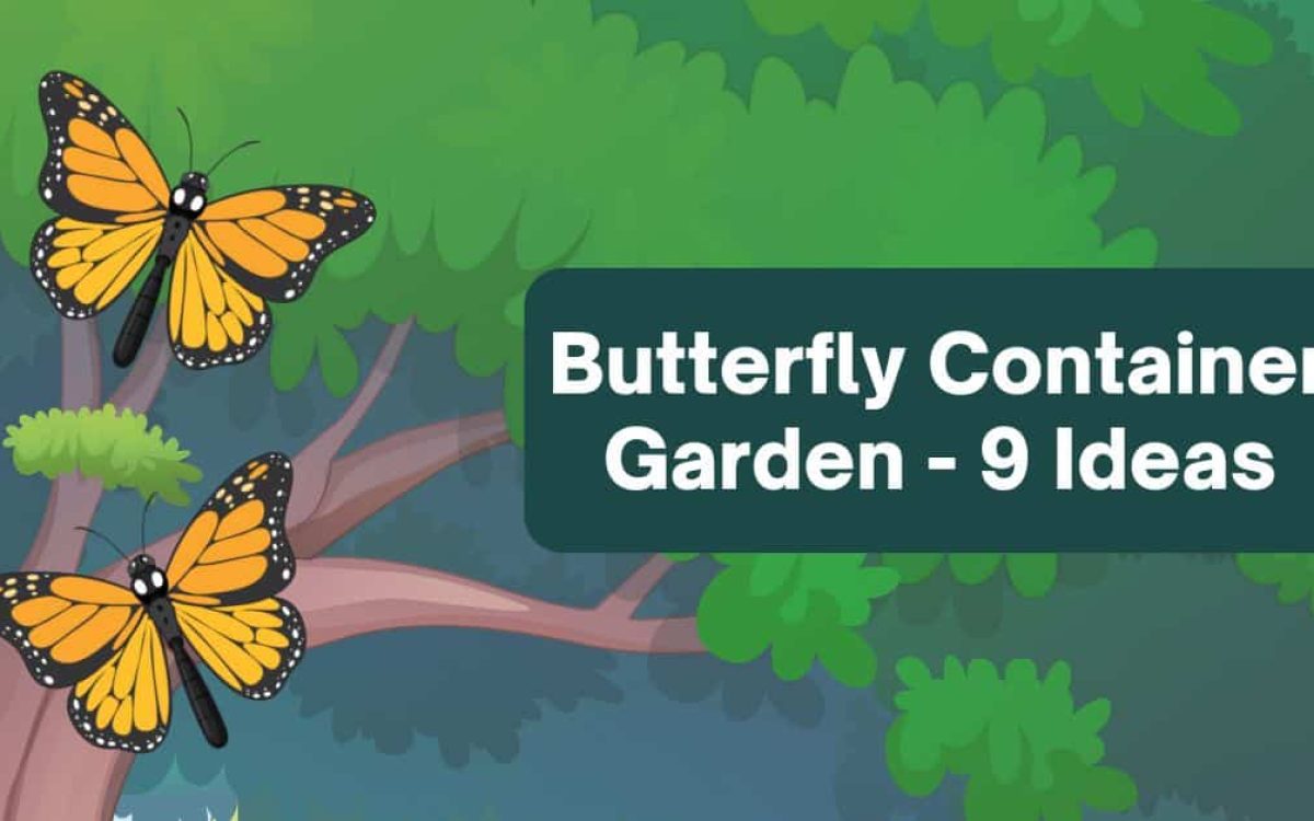 The Ultimate Butterfly Container Garden Guide – 9 Essential Tips