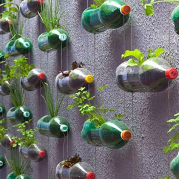 Hanging Herb Bottles