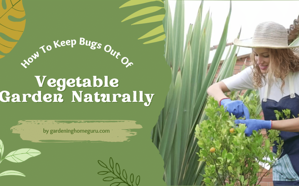 How to keep bugs out of vegetable garden naturally – Best Tips For Your Garden Heaven