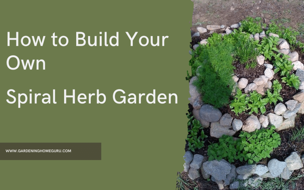 Building a Spiral Herb Garden: 7 Essential Steps