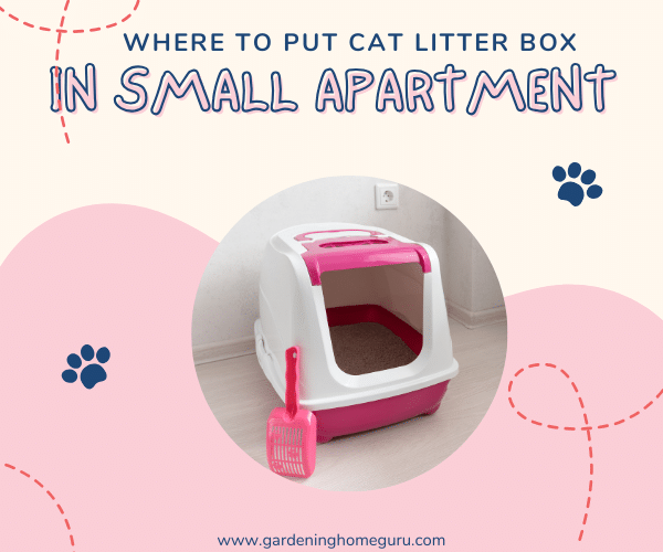 Where to put cat litter box in small apartment – 4 best options