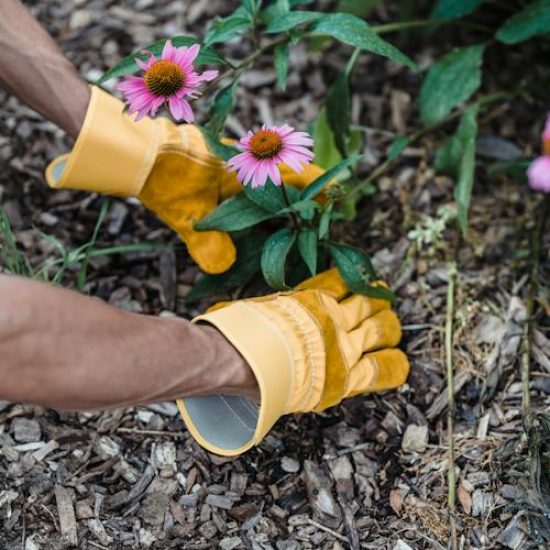 garden gloves with claws