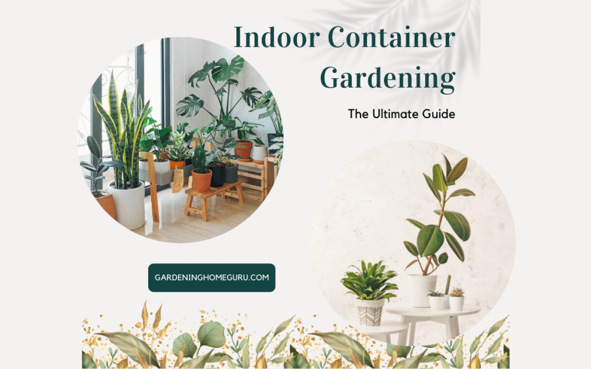 The Ultimate Guide to Indoor Container Gardening!